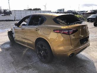 Alfa Romeo Stelvio Q4 picture 2