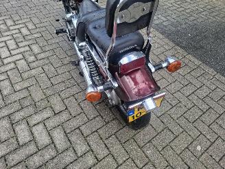 Honda VT 750 vt 800 shadow picture 6