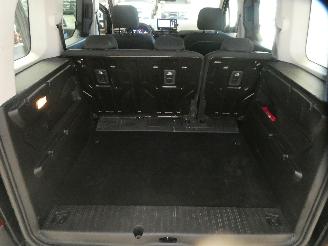 Citroën Berlingo  picture 17
