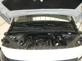 Fiat Doblo  picture 23