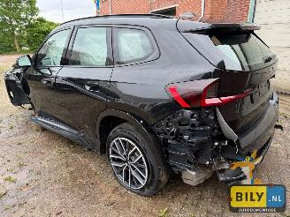 BMW X1 U11 xDrive30e picture 4