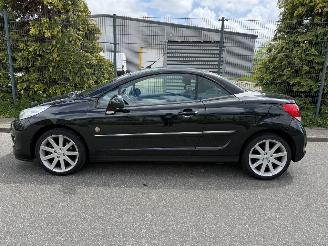 Peugeot 207 1.6 VTi Roland Garros Automaat picture 2