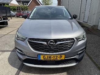 Opel Grandland 1.2 Turbo Business Executive Automaat picture 13