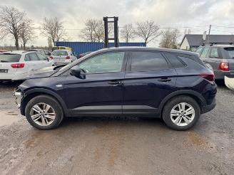 Opel Grandland X picture 8