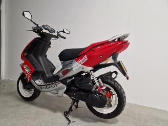 Peugeot  SPEEDFIGHT II RALLY VICTORIES picture 5