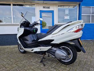 Suzuki  AN 400 BURGMAN picture 15