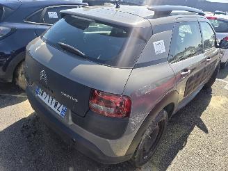 Citroën C4 cactus  picture 5