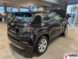 Jeep Avenger  picture 11