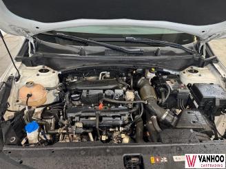 Kia Sportage  picture 10