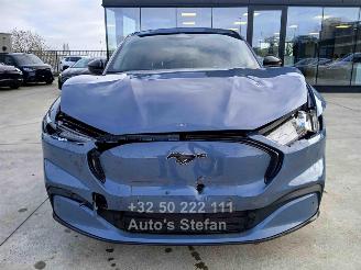 Ford Mustang MACH-E PREMIUM picture 2