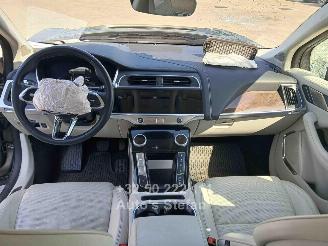 Jaguar I-Pace HSE picture 13