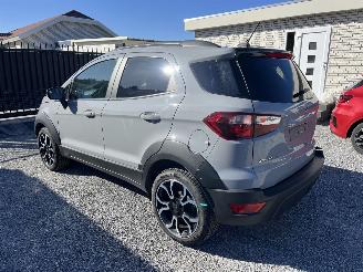 Ford EcoSport Active Navi,Winterpaket,Kamera picture 4