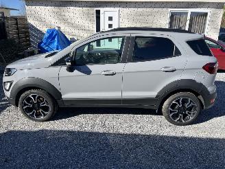 Ford EcoSport Active Navi,Winterpaket,Kamera picture 3