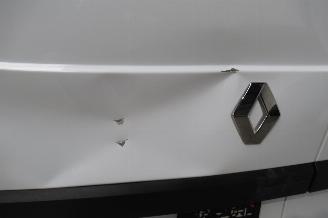 Renault Kangoo CAMIONETTE picture 18