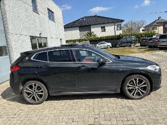 BMW X2 BMW X2 xDrive20d M 2019 picture 11