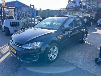 damaged passenger cars Volkswagen Golf 1.6 TDI /  PANO / LEER / VOLLE AUTO 2014/4