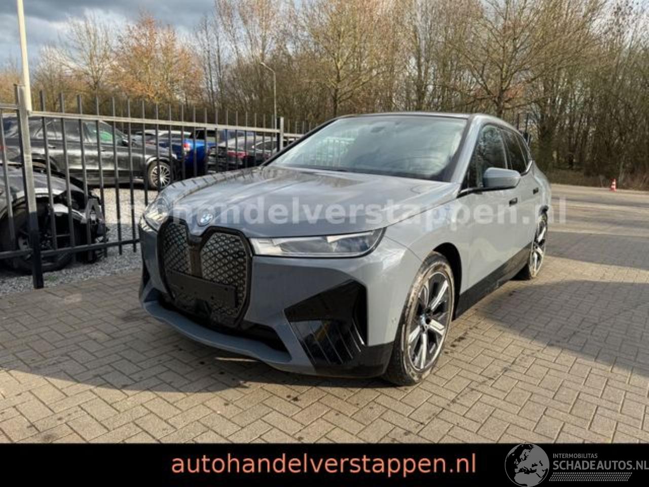 BMW iX 40 xDrive 240KW Sport Glas Dach Harman FULL