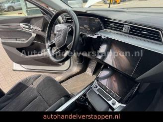 Audi E-tron 55 Quattro Advanced 93KWH picture 23