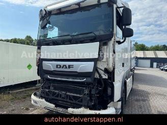 DAF XF 480 SSC ACC 4×2 2TANKS 355KW EURO6 picture 2