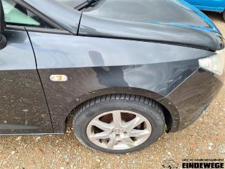 Seat Ibiza Ibiza ST (6J8), Combi, 2010 / 2016 1.2 TDI Ecomotive picture 27