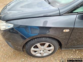 Seat Ibiza Ibiza ST (6J8), Combi, 2010 / 2016 1.2 TDI Ecomotive picture 26