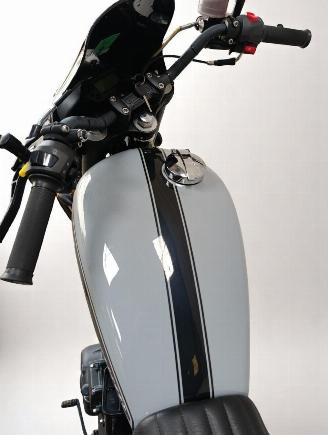 Mash  650 DIRT TRACK picture 17