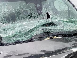 Peugeot Partner Partner (EF/EU), Van, 2018 1.6 BlueHDi 100 picture 9