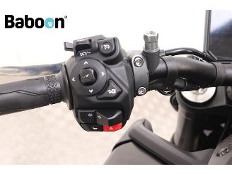 Yamaha MT-09  picture 14