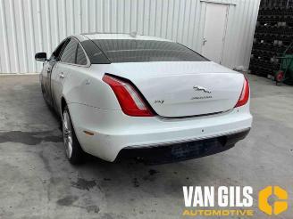 Jaguar XJ XJ (X351), Sedan, 2009 / 2019 3.0 D V6 24V picture 4