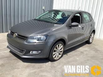 Volkswagen Polo Polo V (6R), Hatchback, 2009 / 2017 1.4 16V picture 2