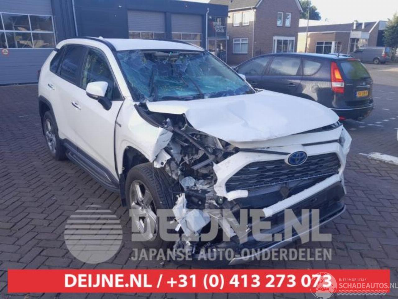 Toyota Rav-4 RAV4 (A5), Terreinwagen, 2018 2.5 Hybrid 16V AWD