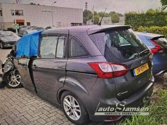Ford Grand C-Max Grand C-Max (DXA), MPV, 2010 / 2019 1.0 Ti-VCT EcoBoost 12V 125 picture 17