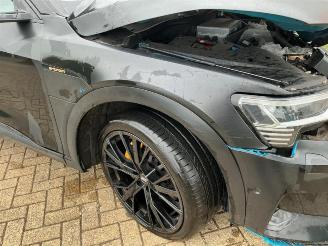 Audi E-tron e-tron (GEN), SUV, 2018 / 2023 55 quattro picture 33