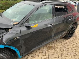 Audi E-tron e-tron (GEN), SUV, 2018 / 2023 55 quattro picture 16