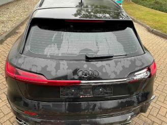 Audi E-tron e-tron (GEN), SUV, 2018 / 2023 55 quattro picture 21