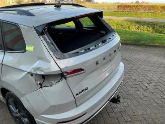 Skoda Karoq Karoq, SUV, 2017 2.0 TSI 4x4 picture 33