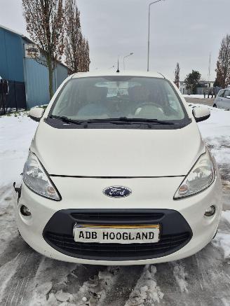 Vrakbiler auto Ford CLS II Hatchback 1.2 (169.A.4000(Euro 4; Euro 5)) [51kW] 5-BAK 2010/1