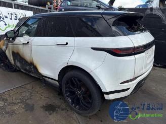 Land Rover Range Rover Range Rover Evoque II (LZC/LZS/LZH), SUV, 2018 2.0 P250 MHEV 16V AWD picture 2