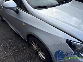 Seat Ibiza Ibiza ST (6J8), Combi, 2010 / 2016 1.0 EcoTSI 12V picture 15