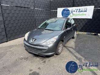 Peugeot 206 206+ (2L/M), Hatchback, 2009 / 2013 1.1 XR,XS picture 3