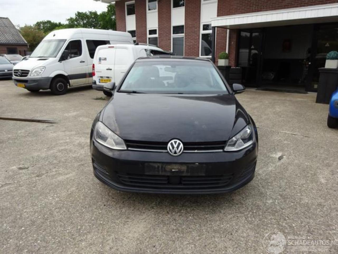 Volkswagen Golf Golf VII (AUA), Hatchback, 2012 / 2021 1.6 TDI 16V