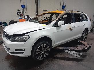 Uttjänta bilar auto Volkswagen Golf Golf VII Variant (AUVV) Combi 1.6 TDI BlueMotion 16V (CRKB) [81kW]  (0=
5-2013/12-2020) 2014/12