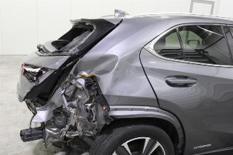 Lexus UX  picture 6