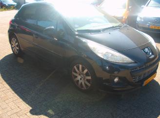 Peugeot 207  picture 2