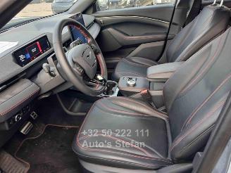 Ford Mustang MACH-E PREMIUM picture 14