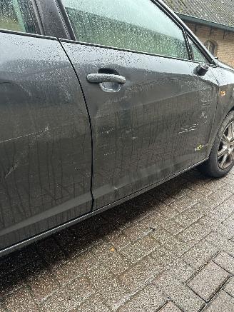 Seat Ibiza 1.2 TDI COPA Ecomotive picture 20