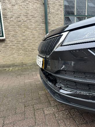 Skoda Karoq 1.5 TSI ACT Style business picture 31