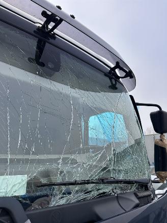 DAF LF 180 FA picture 14