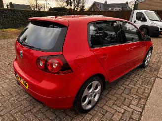 Volkswagen Golf 2.0. GTI picture 5