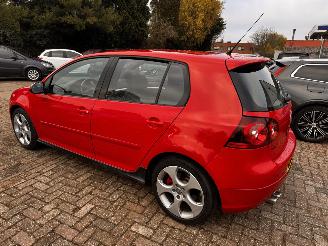 Volkswagen Golf 2.0. GTI picture 4